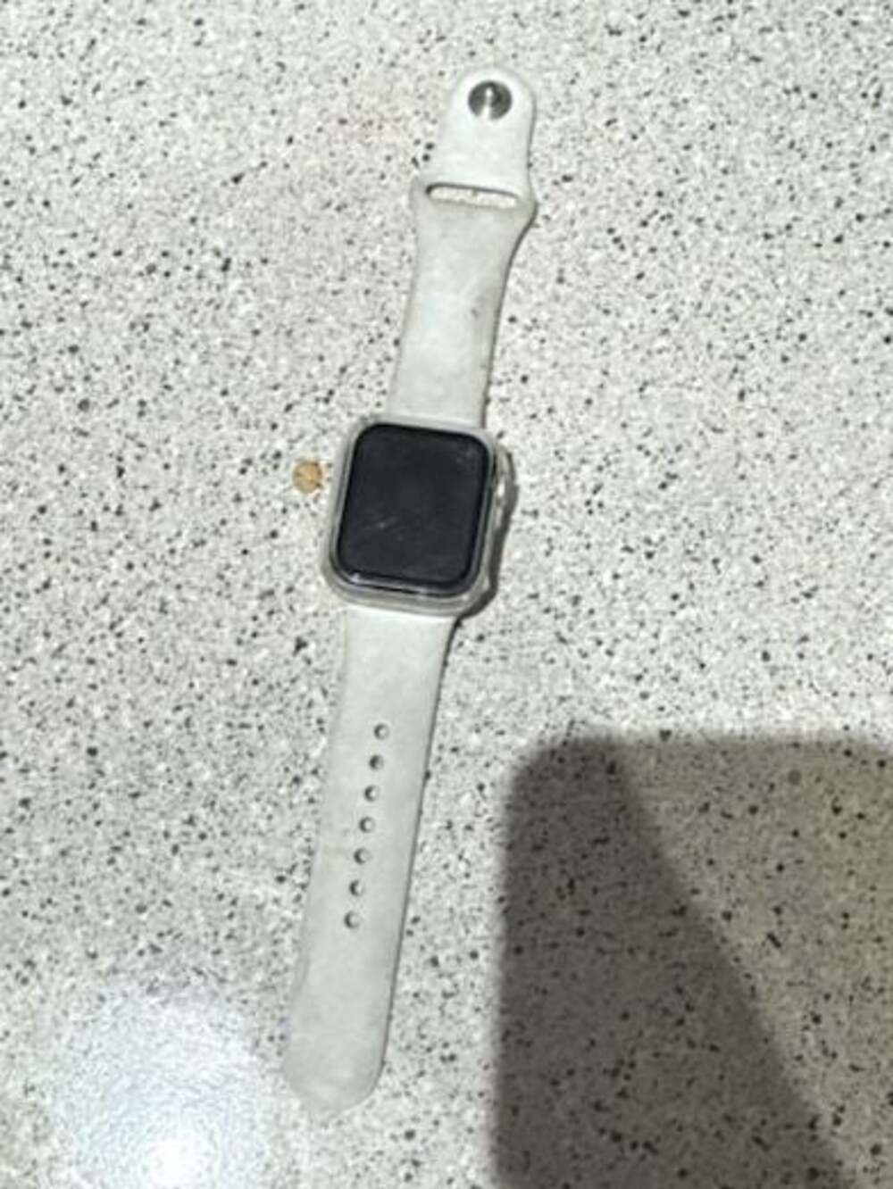LOCKED Apple Watch SE 40mm Silver Aluminum Case with White Silicone Sport Band